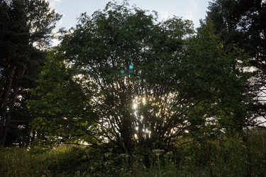 Similar image 10468077