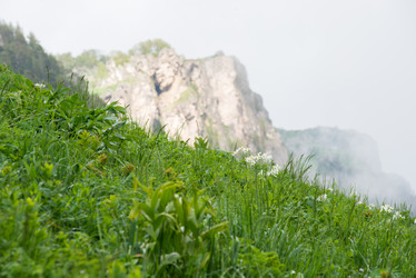 Similar image 10468187