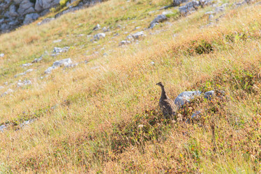 Similar image 10468222