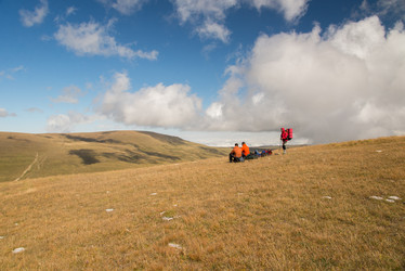 Similar image 10468244