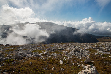 Similar image 10468253