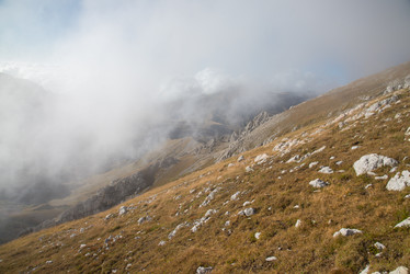 Similar image 10468265