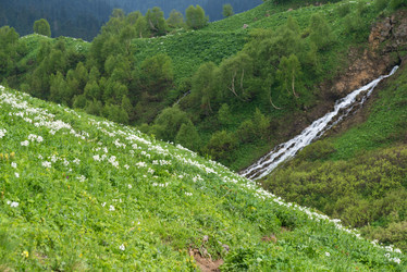 Similar image 10468321