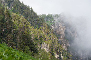 Similar image 10468323