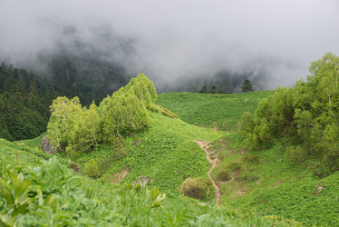 Similar image 10468324