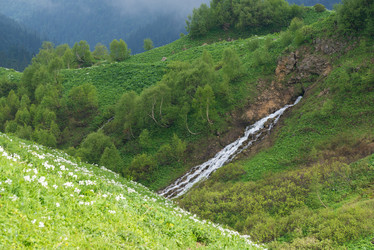 Similar image 10468328