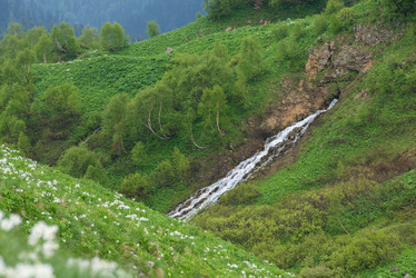 Similar image 10468355