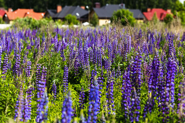 Similar image 10468618