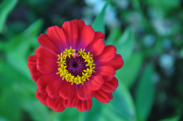 Similar image 10468621