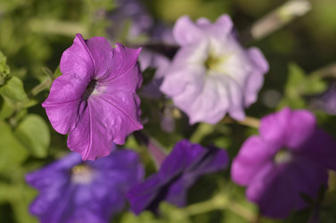 Similar image 10468625