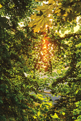 Similar image 10468632