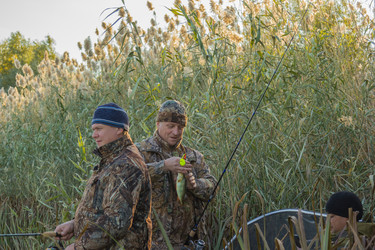 Similar image 10468634