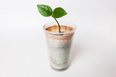 Similar image 10468658