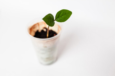 Similar image 10468659