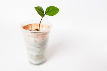 Similar image 10468660