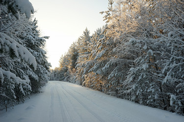 Similar image 10468693