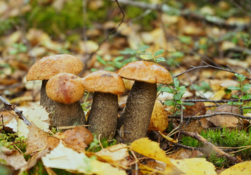 Similar image 10468695