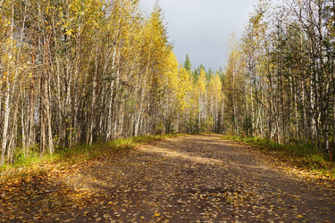 Similar image 10468696