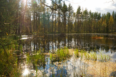 Similar image 10468697