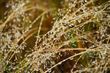 Similar image 10468726