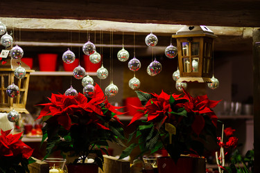 Similar image 10468758