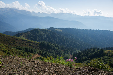 Similar image 10468793