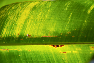 Similar image 10468934