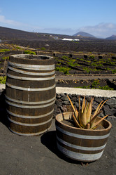 Similar image 10469006