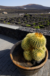 Similar image 10469007