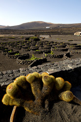 Similar image 10469008