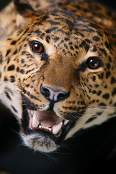 Similar image 10469049