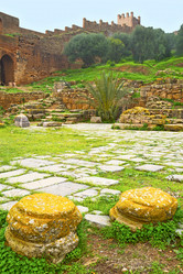 Similar image 10469062