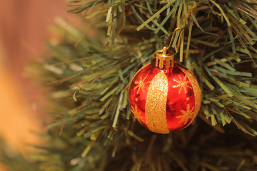 Similar image 10469069