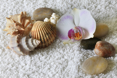 Similar image 10469084