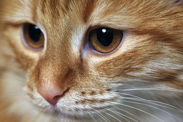 Similar image 10469088