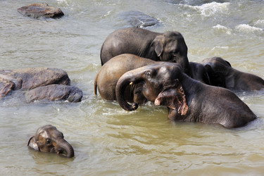 Similar image 10469093