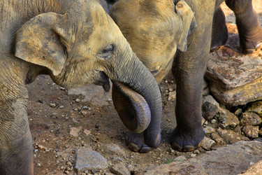 Similar image 10469097