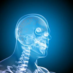 Similar image 10469356