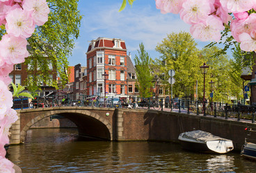 Similar image 10469534