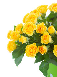 Similar image 10469539