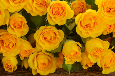 Similar image 10469548