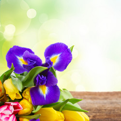 Similar image 10469550