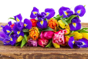 Similar image 10469551