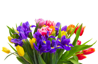 Similar image 10469553