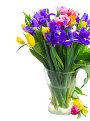 Similar image 10469554