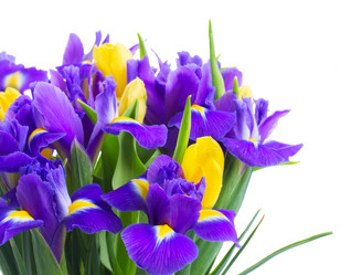 Similar image 10469555