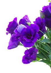 Similar image 10469558