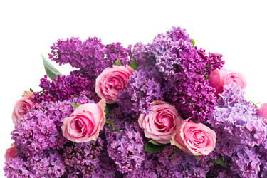 Similar image 10469573