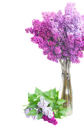 Similar image 10469575