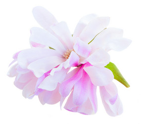 Similar image 10469577